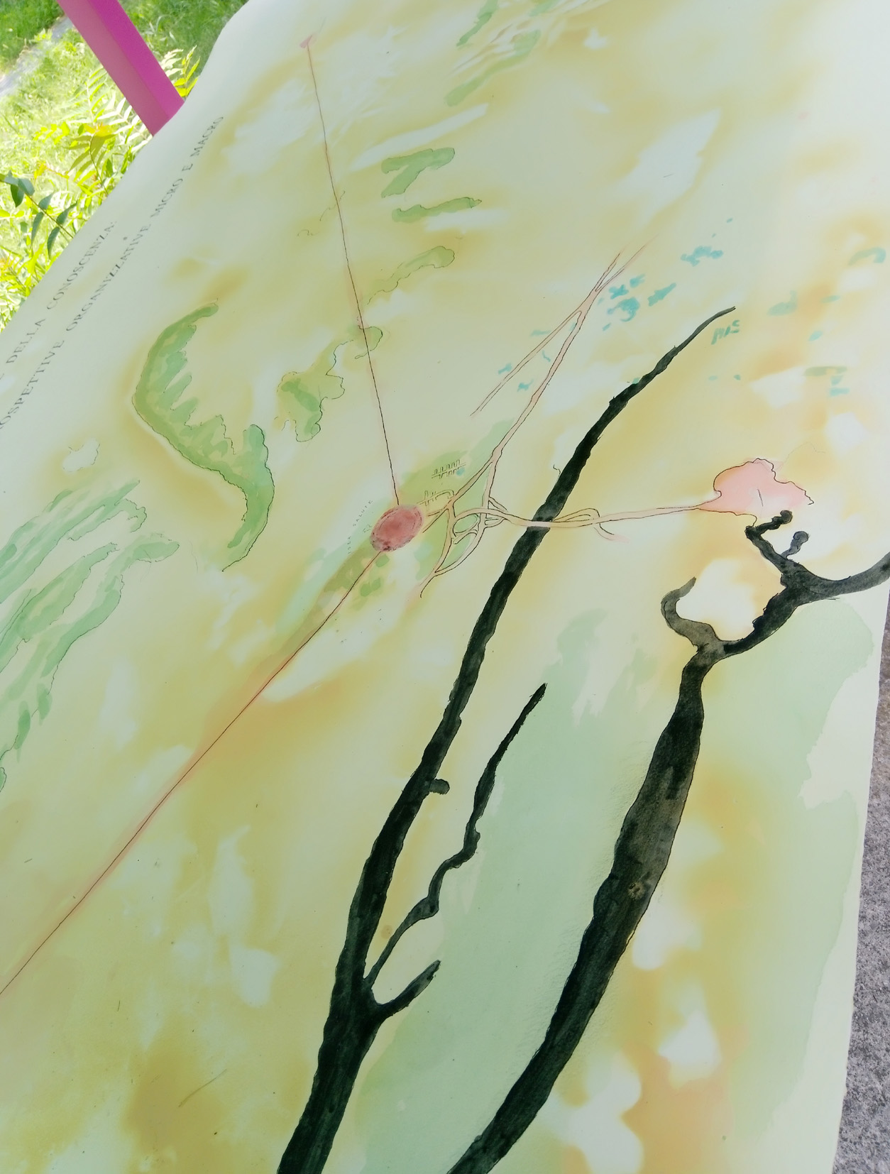 opere idea salute brescia